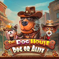 The Dog House – Dog or Alive thumbnail